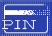 PIN